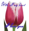 I love you