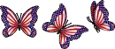 Butterflies