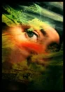 Colors