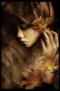 Dreamer
