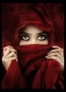 Veiled
