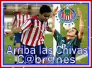 Arriba Las Chivas Cabrones
