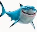 Bruce