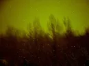 snowy night
