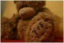 teddy