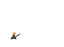ichigo/bankai