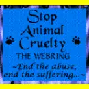 stop animal abuse