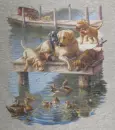 Puppies playing by a lake