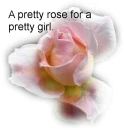 A pretty rose for a pretty girl.