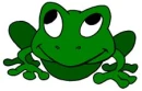 Cute little frog