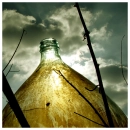 Bottle