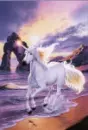 beach unicorn