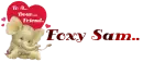 Elephant for Foxy Sam
