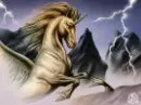 another unicorn
