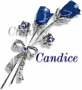 Candice Blue Rose