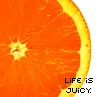 juicy orange