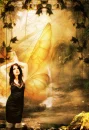 Yellow Sun Fairy