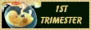 1st trimester