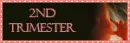 2nd trimester