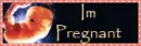 Im Pregnant