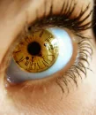 Time Goes By