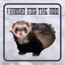 Thanks for the Add - Ferret