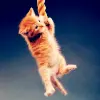 Hang in there baby!