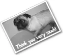 Thank you Pug
