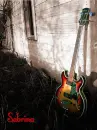 Guitar Sabrina