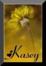 Flowers - Kasey