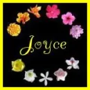 Flowers - Joyce