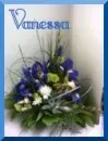 Flowers - Vanessa