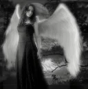 Dark angel