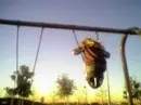 Swinging