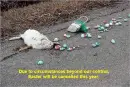 Dead Easter Bunny