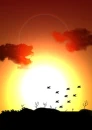 sun <3