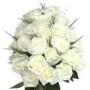 White Roses