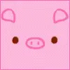 cute pig
