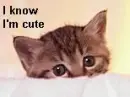 I know I'm cute.