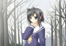 Walking in the Forest