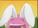 pink bunny