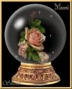 Sparkly Rose Globe-for Mazni