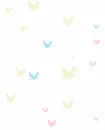 Color American Eagle Birds