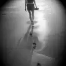shadow