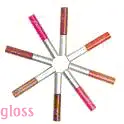 gloss