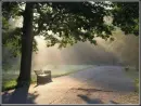 park in the morning