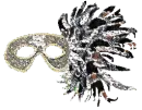 Black and silver mask