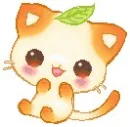 Lovely Cat