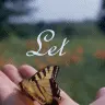 Let me fly away!