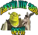 Laugin' my ass off!